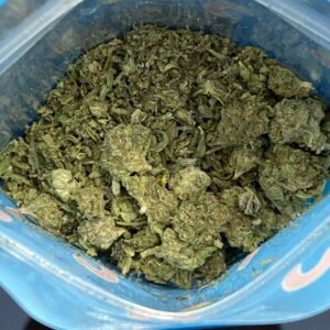 Bottom Bag