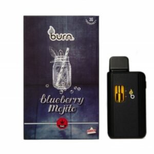 Burn Disposable Vapes – Blueberry Mojito (Sativa) (3 Gram)