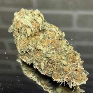 Northern Lights