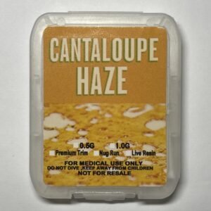 Jungle Boys - Cantoloupe Haze 1Gram Sativa Shatter