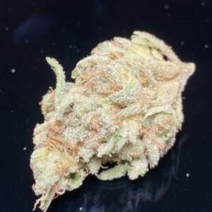 King Dosi ️️️️️Premium