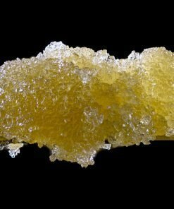 Platinum Girl Scout Cookies (Hybrid)- High Voltage Extracts Sauce 1 Gram