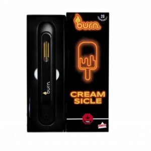 Burn Disposable Vapes – Creamsicle (Hybrid) (2 Gram)