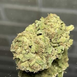 Pink Champagne