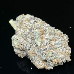 King Tut -️️️️️Premium