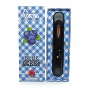 Burn Disposable Vapes – Blueberry (Indica) (2Ml)