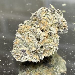 Monkey Bread - (Small Bud, Very Potent)