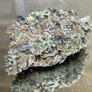 L.A. Sunshine -️️️️️Premium Exotic (