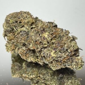 Bubba Star ️️️️️ Premium