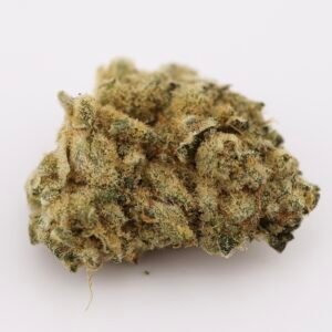 Rocket Bomb ( Buds)