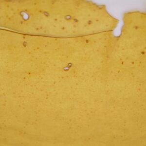 Godfather OG House Shatter 1 Gram