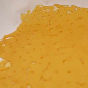 Jungle Cake House Shatter 1 Gram