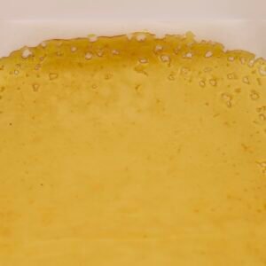 Gelato House Shatter 1 Gram
