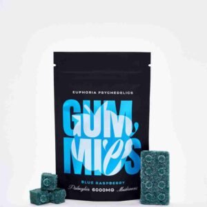 Euphoria Psychedelics – Blue Raspberry 6000mg