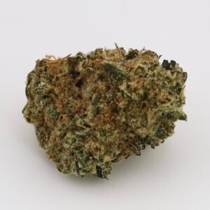 Critical Kush