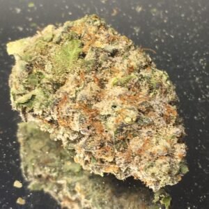 Blue Cookies