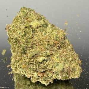 White Rabbit -️️️️️Premium Exotic (