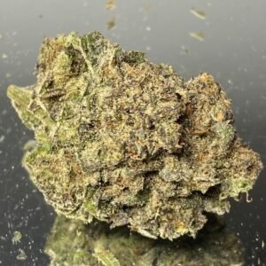 Black Truffle -️️️️️Premium Exotic (