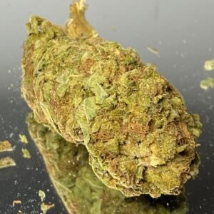 Butterscotch Willy