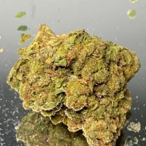 Stankasaurus - , $100 For , $130 For