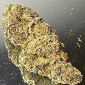Platinum Dosi