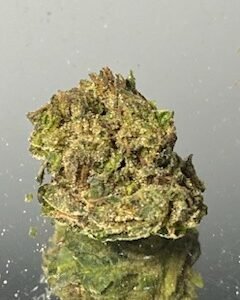 Sugar Plum , $100 For , $130 For