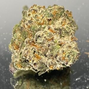 Russian Doll - Small Frosty Buds