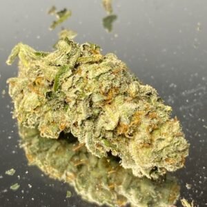 Sugar Berry
