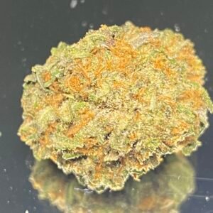 Pink Wheelchair - ( Buds)