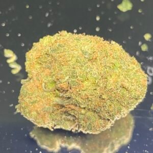 Cosmonaut