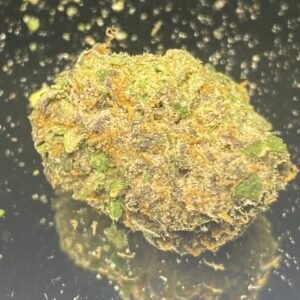 Moonbeam