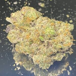 Rambo Kush