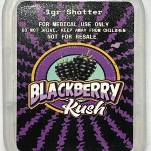 Jungle Boys - Blackberry Kush 1Gram Indica Shatter