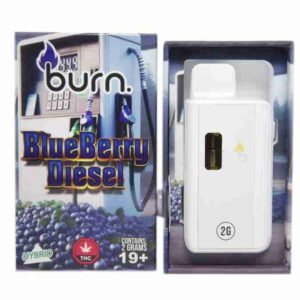 Burn Disposable Vapes - Blueberry Diesel (Hybrid) (2 Gram)