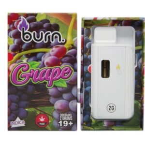 Burn Disposable Vapes - Grape (Hybrid) (2 Gram)