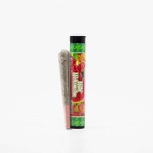 Wild Watermelon Triple Infused Pre-Roll - 1g