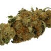 Close-up of a dried cannabis flower bud